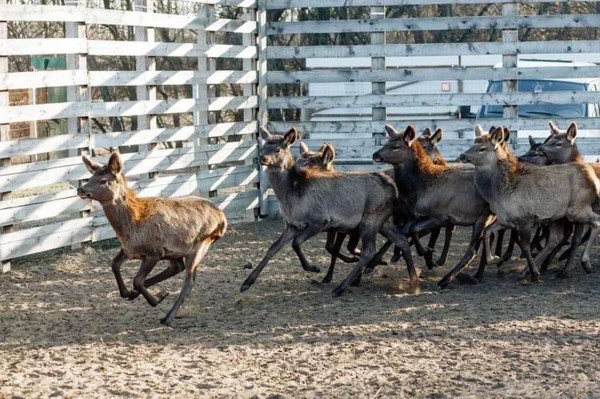 Гид РИА &laquo;Воронеж&raquo;. Чем заняться в первые выходные зимы