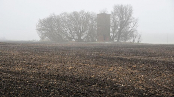 В Воронежской области объявили желтый уровень погодной опасности из-за тумана