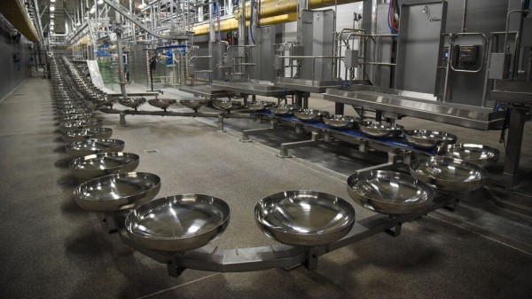 Воронежская область получит 165 млн рублей на возмещение затрат сельхозпроизводителям