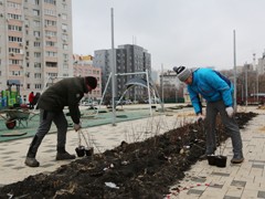 Воронеж продолжает озеленение, которое было практически сорвано нерадивыми подрядчиками