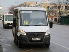 В Воронеже продолжается мониторинг соблюдения масочного режима и других антиковидных мер в общественных местах