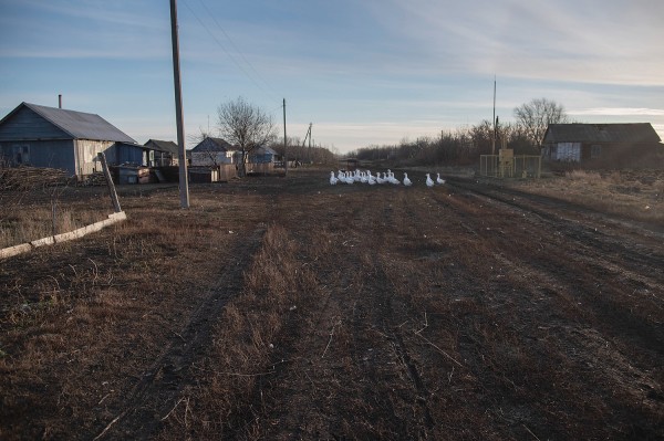 Заброшенные хутора: как пустеют воронежские деревни. Красинка