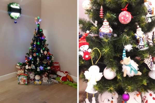 Катание на хаски и праздник двора. Как воронежские родители радуют детей на Новый год