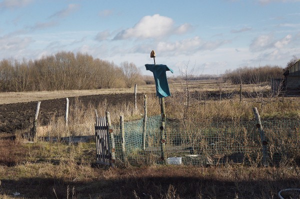 Заброшенные хутора: как пустеют воронежские деревни. Красинка
