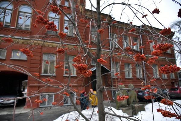 Святочные истории и дворцовые тайны. Воронежские музеи подготовили новогоднюю программу