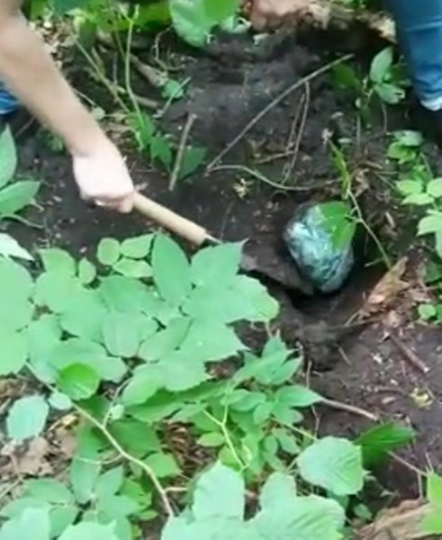 Воронежский суд вынес вердикт по делу о попытке сбыта 6 тыс доз героина