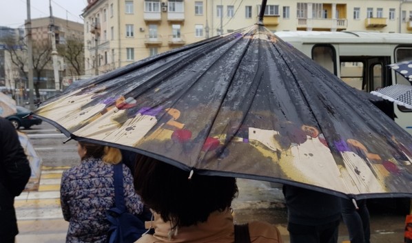 Дождь со снегом зальёт Воронеж на ближайших декабрьских выходных