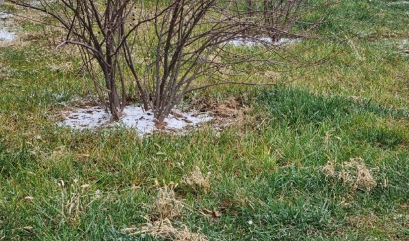 В Воронеже в первые выходные зимы будет идти снег с дождем