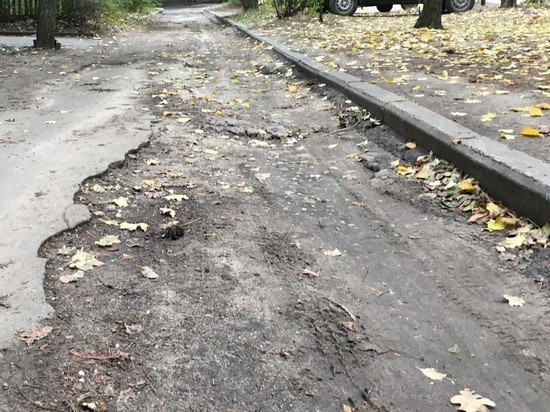 Разбитые воронежские дороги около садика на ул. Геращенко и переход у школы на Шидловского будут приведены в безопасное состояние в следующем году
