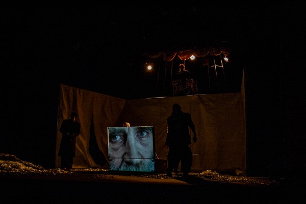 Голубь ex machina. В воронежском ТЮЗе представили спектакль о всемирном потопе