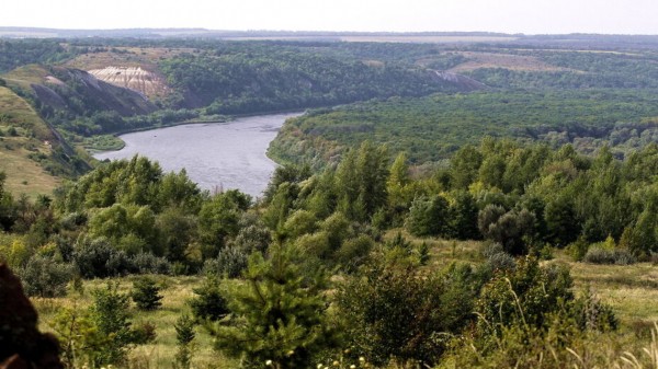 Экономический рост и узнаваемость. Что означает расширение межрегионального туризма для Воронежской области