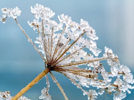 Во вторник гидрометцентр обещает в Воронеже резкое похолодание