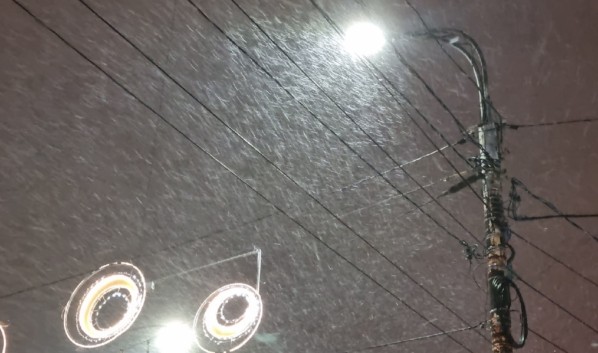 МЧС предупреждает воронежцев о снегопаде с метелью и ветром ночью 20 декабря