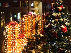 Воронеж готовится к новогодним и рождественским праздникам