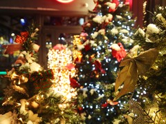 Воронеж готовится к новогодним и рождественским праздникам