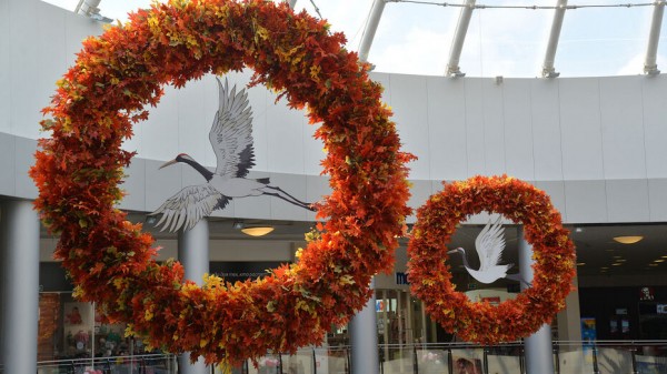 &laquo;Бирюлькины люльки&raquo; и &laquo;Сад дружбы&raquo;. Воронежские НКО получили гранты департамента культуры