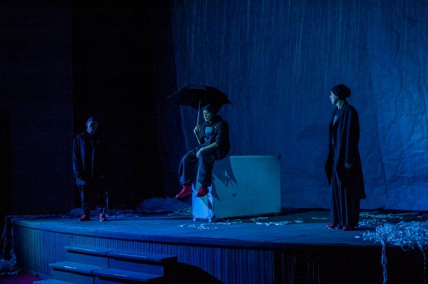 Голубь ex machina. В воронежском ТЮЗе представили спектакль о всемирном потопе