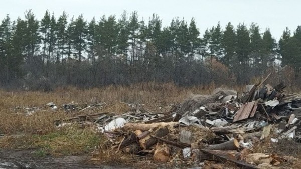 В 2021 году в Воронежской области ликвидировали 78 несанкционированных свалок