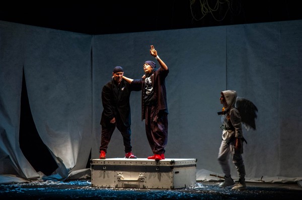 Голубь ex machina. В воронежском ТЮЗе представили спектакль о всемирном потопе