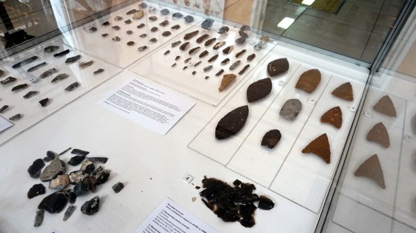 Выставку воронежского &laquo;Дивногорья&raquo; представят в Московской области