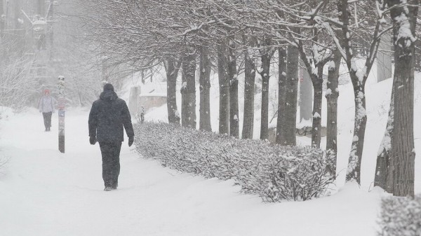 Воронежские синоптики опубликовали штормовое предупреждение из-за метели