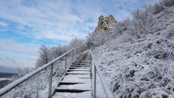Святочные истории и дворцовые тайны. Воронежские музеи подготовили новогоднюю программу