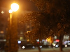 Воронеж готовится к новогодним и рождественским праздникам