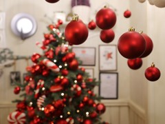 Воронеж готовится к новогодним и рождественским праздникам