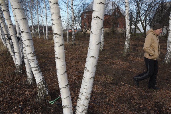 Заброшенные хутора: как пустеют воронежские деревни. Красинка