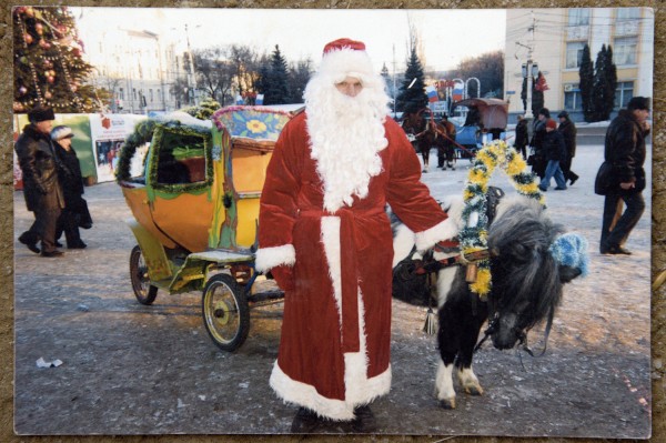 Ход конем. Династия Богушевых более 50 лет катает воронежских детей на лошадях в новогодние праздники