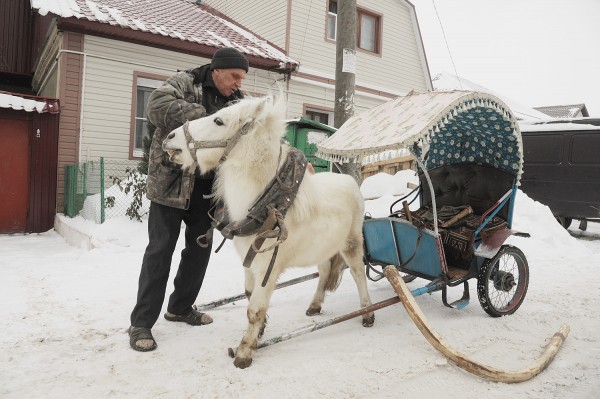 Ход конем. Династия Богушевых более 50 лет катает воронежских детей на лошадях в новогодние праздники