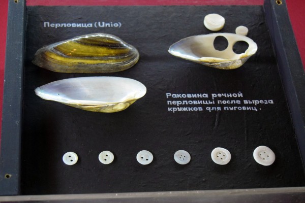 От каменного века до наших дней. Тематическую коллекцию застежек показывают в воронежском музее