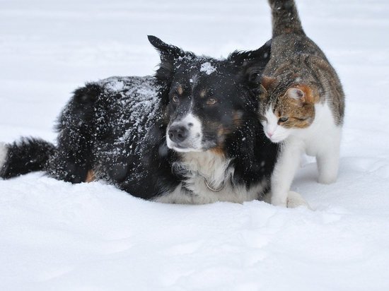 Народные приметы и праздники: сегодня День случайных попутчиков