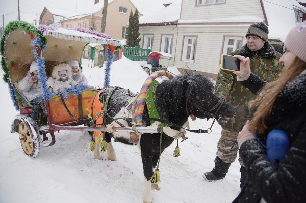 Ход конем. Династия Богушевых более 50 лет катает воронежских детей на лошадях в новогодние праздники