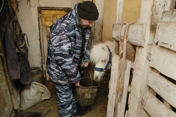 Ход конем. Династия Богушевых более 50 лет катает воронежских детей на лошадях в новогодние праздники