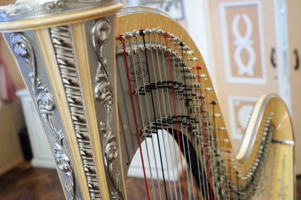 Гид РИА &laquo;Воронеж&raquo;. Чем заняться в выходные 22-23 января