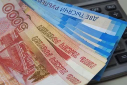 Воронежские правоохранители помогли возместить 1 млрд ущерба от экономических преступлений