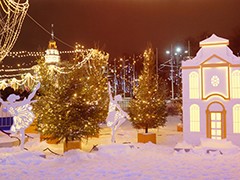 Воронеж готов к Новому году