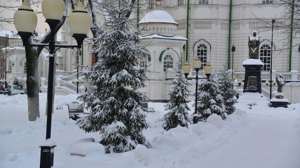 Итоги недели. Что важного произошло в Воронежской области с 3 по 9 января