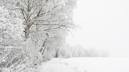 На Воронежскую область надвигается Скандинавский циклон