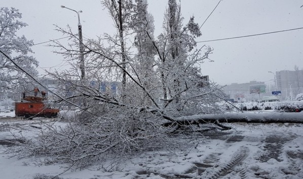 Штормовое предложение из-за непогоды объявили в Воронежской области