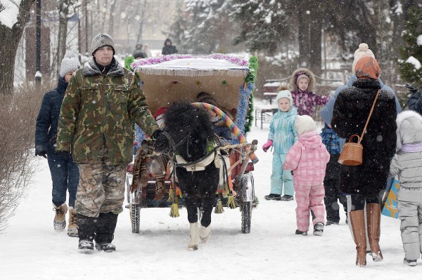 Ход конем. Династия Богушевых более 50 лет катает воронежских детей на лошадях в новогодние праздники