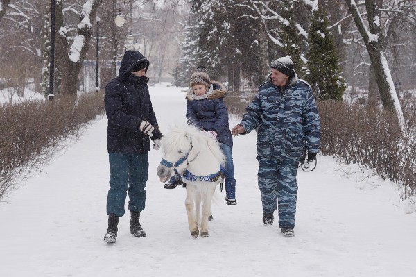 Ход конем. Династия Богушевых более 50 лет катает воронежских детей на лошадях в новогодние праздники