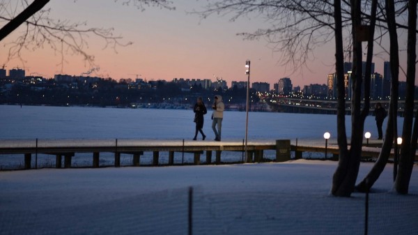 Итоги недели. Что важного произошло в Воронежской области с 24 по 30 января
