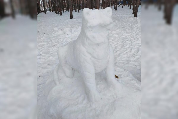 Воронежские мастерицы снежных скульптур слепили символ 2022 года