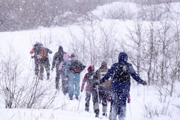 Гид РИА &laquo;Воронеж&raquo;. Чем заняться в выходные 22-23 января