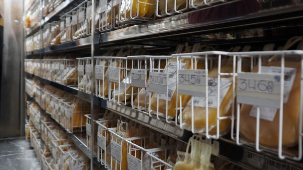 Более 17 тыс доноров сдали кровь в Воронежской области в 2021 году