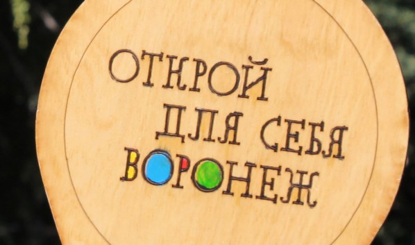 Горожане назвали самый удачный памятник в Воронеже (и это не Котёнок с улицы Лизюкова)