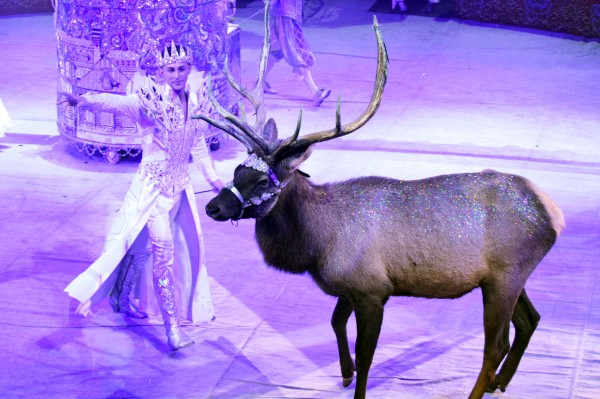Дух захватывает! Артисты со сверхспособностями покорили воронежскую публику