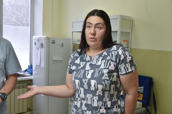 Безопасность под кожей. Как и для чего в Воронеже чипируют бездомных собак